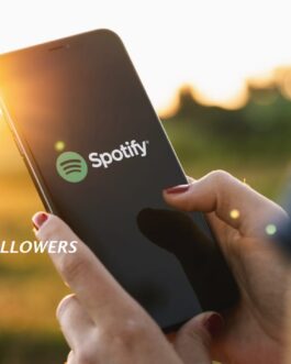 100 Real Spotify Followers